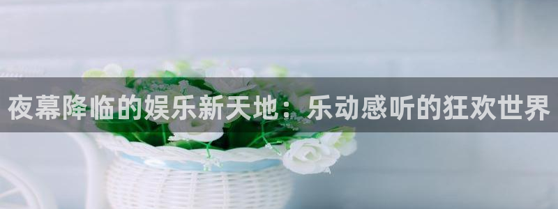 摩根娱乐：夜幕降临的娱乐新天地：乐动感听的狂欢世界