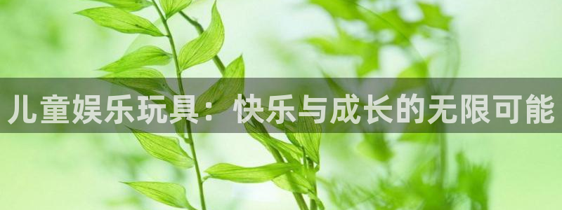 摩根娱乐：儿童娱乐玩具：快乐与成长的无限可能