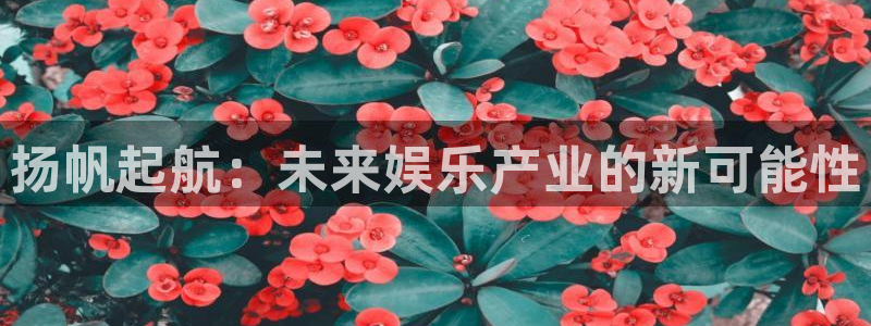 摩根娱乐：扬帆起航：未来娱乐产业的新可能性