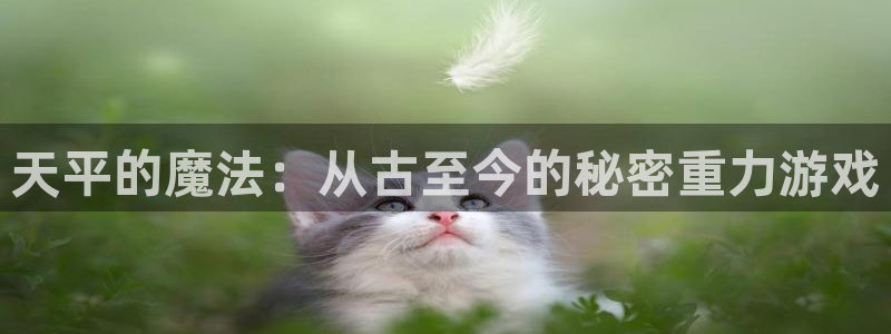 摩根娱乐：天平的魔法：从古至今的秘密重力游戏