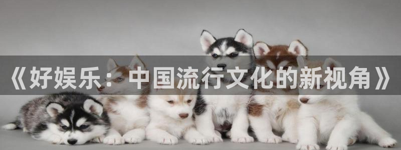 摩根娱乐：《好娱乐：中国流行文化的新视角》
