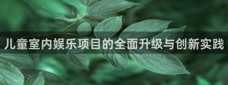 摩根娱乐：儿童室内娱乐项目的全面升级与创新实践