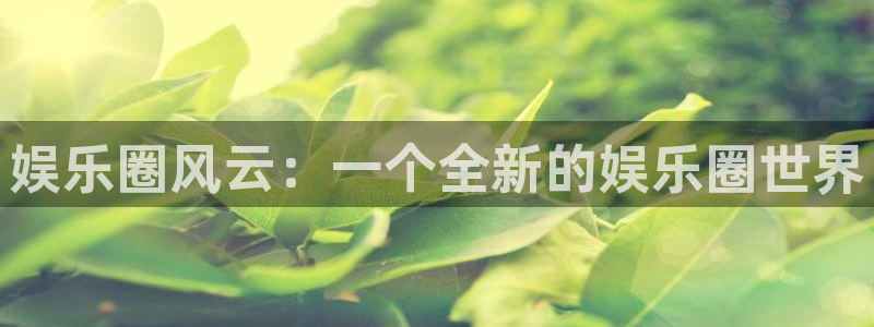 摩根娱乐：娱乐圈风云：一个全新的娱乐圈世界