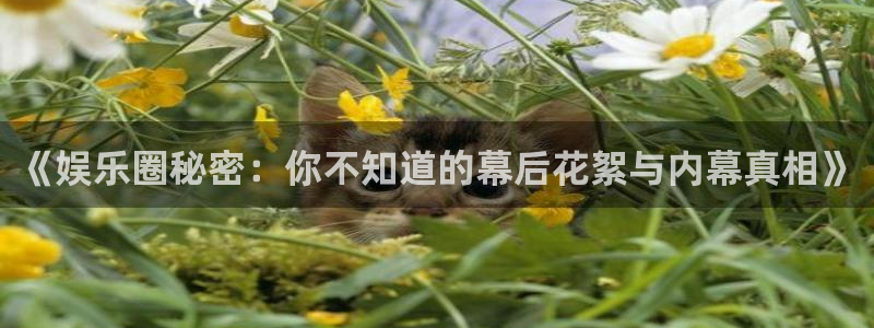 摩根娱乐：《娱乐圈秘密：你不知道的幕后花絮与内幕真相》