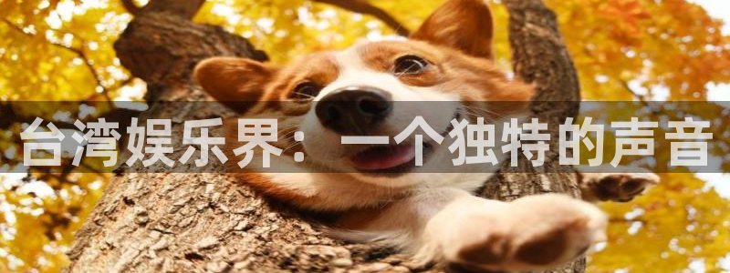 摩根娱乐：台湾娱乐界：一个独特的声音
